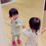 自分を知るとは鏡に映った自分を見るようなこと。