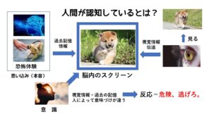 人間が認知することの仕組みを図解したもの