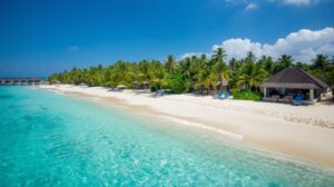 南国のリゾート地の画像